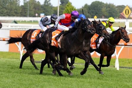2021 Blue Diamond Stakes Winner Is Artorius.